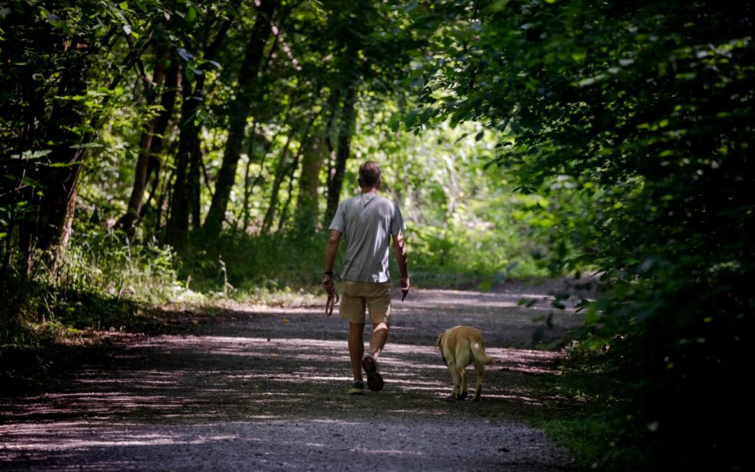 RVA Loves Our Animals